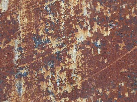 sheet metal floor rust labs